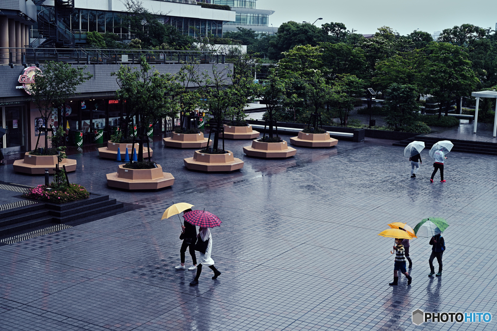 梅雨入り