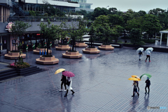 梅雨入り