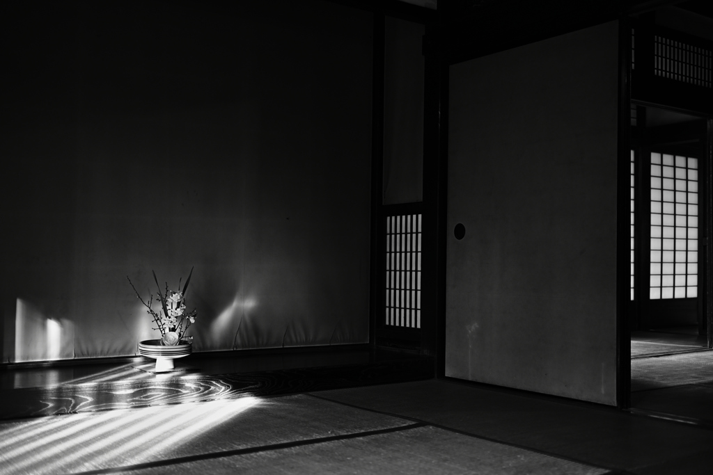 Spotlight