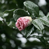 Rainy Sunday