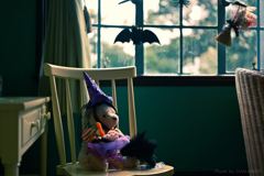 Halloween Bear Halloween Bear