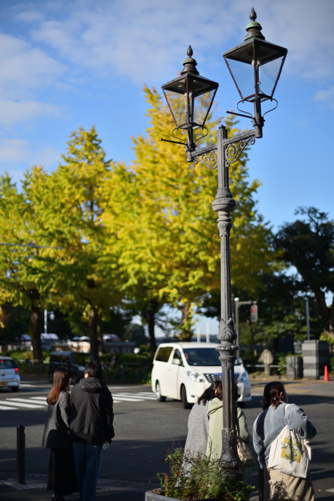 Sunny Day