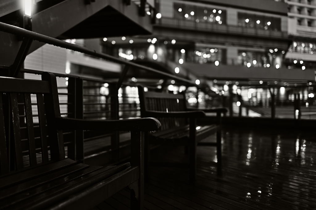 Rainy Day...