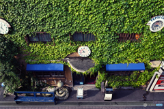 覆い尽くす