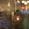 Dreamy Night