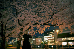桜色舞うころ