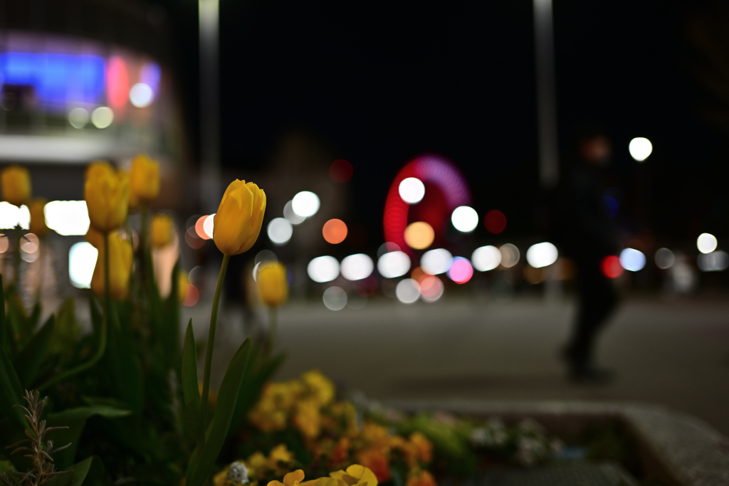 with Flowers