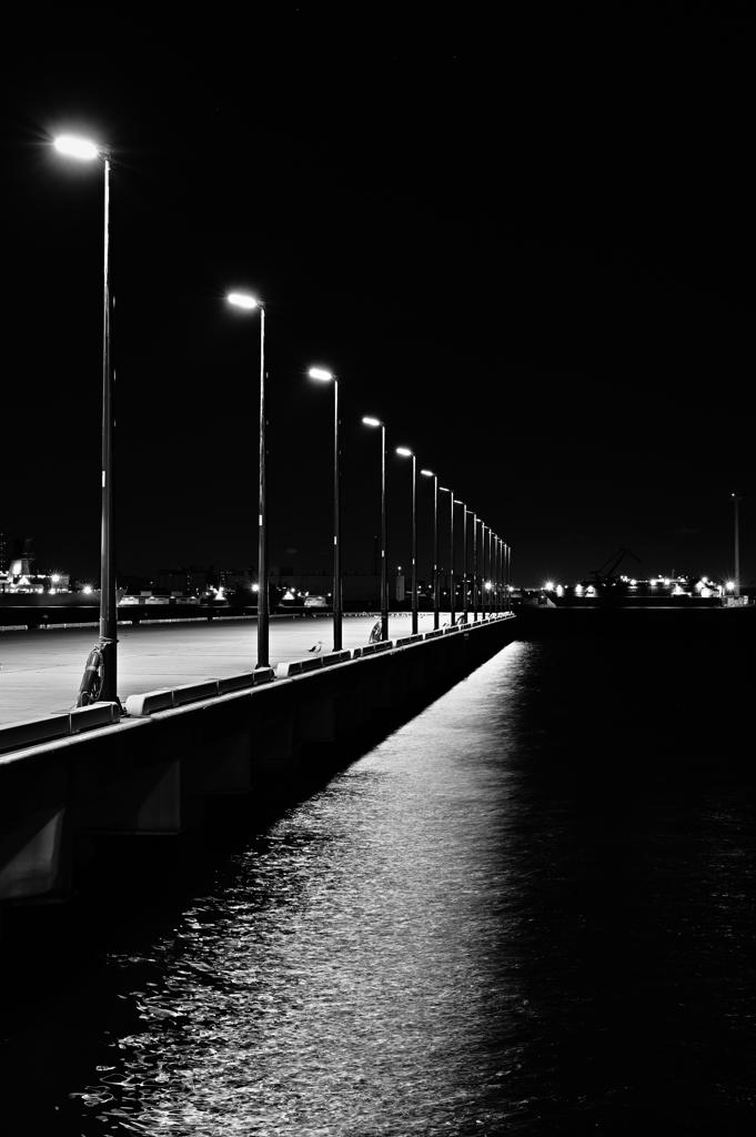 Harbor Lights