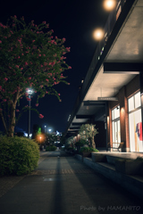 Night Promenade
