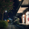 Night Promenade
