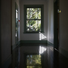 Floor Reflection