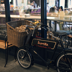 in the Basket