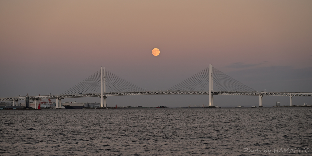Lunar Sea