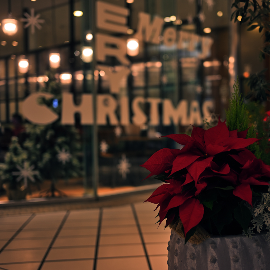 Christmas Color