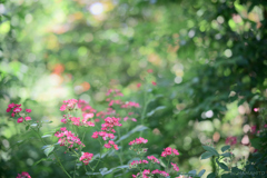 Bright Place