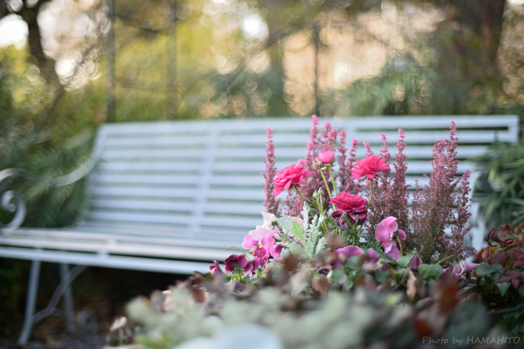 春待ち Bench