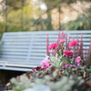 春待ち Bench