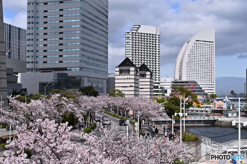 花咲く街