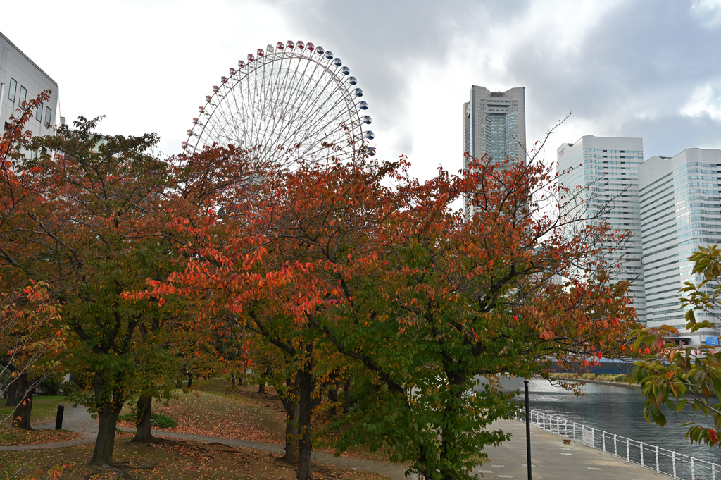 みなと秋色