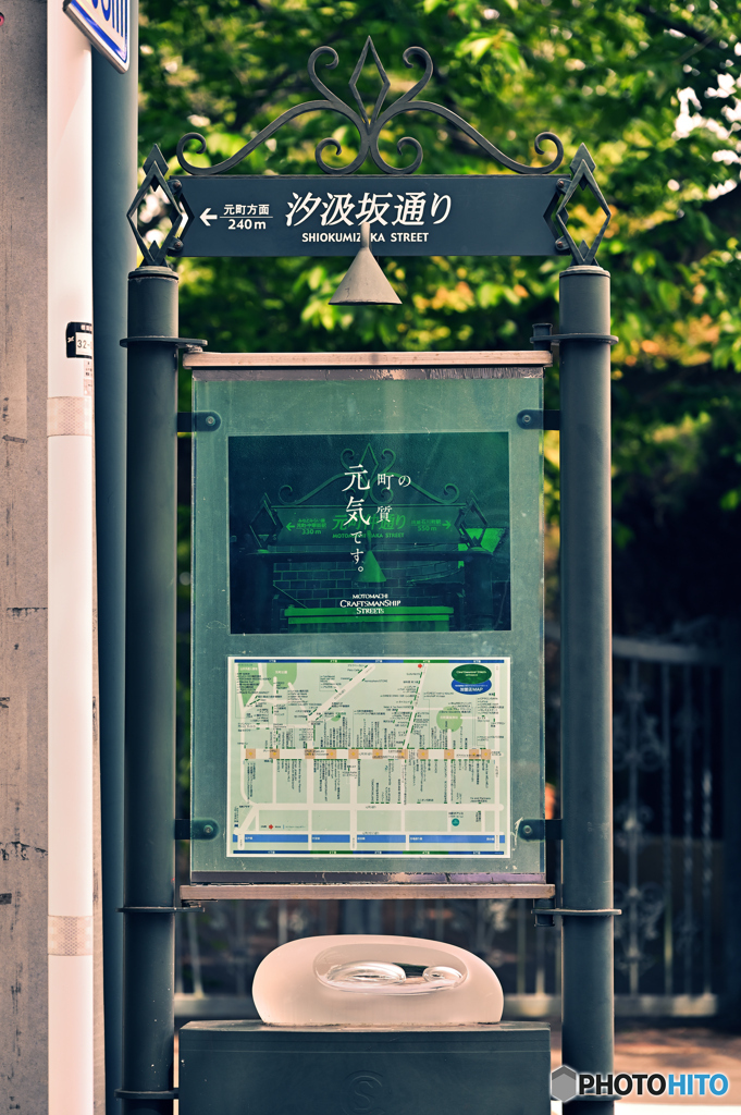 元気です