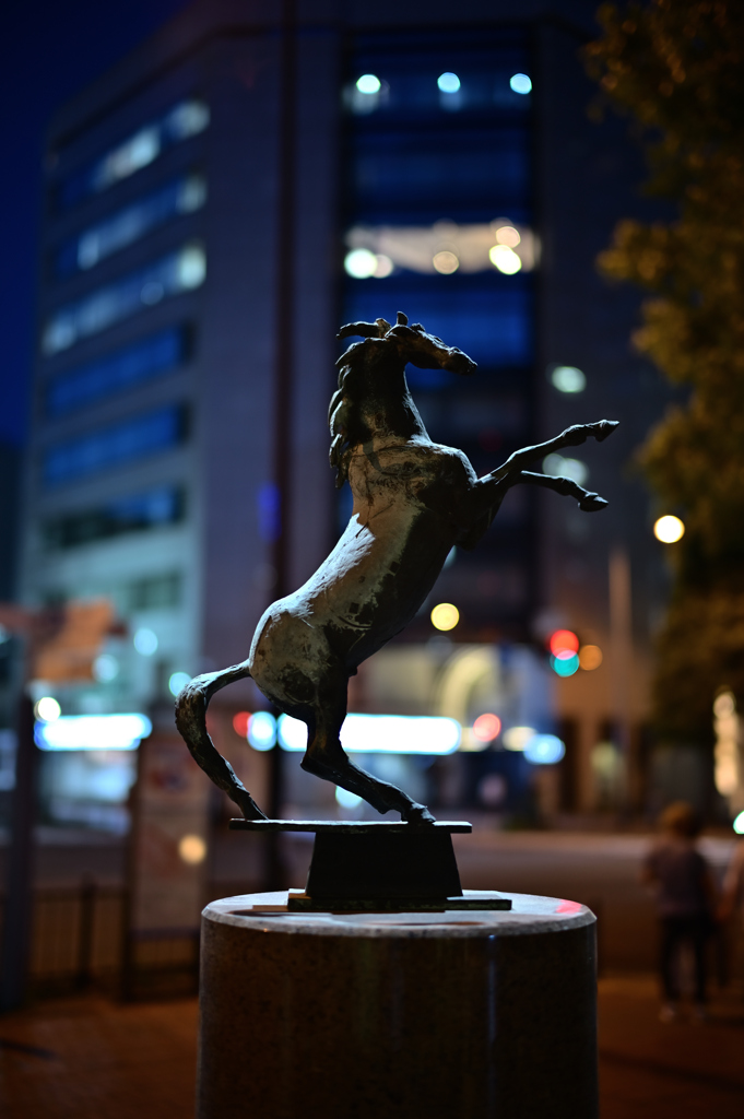 Night Horse