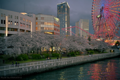 Spring Night