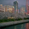 Spring Night