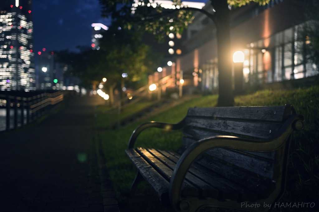 Misty Night