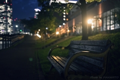 Misty Night