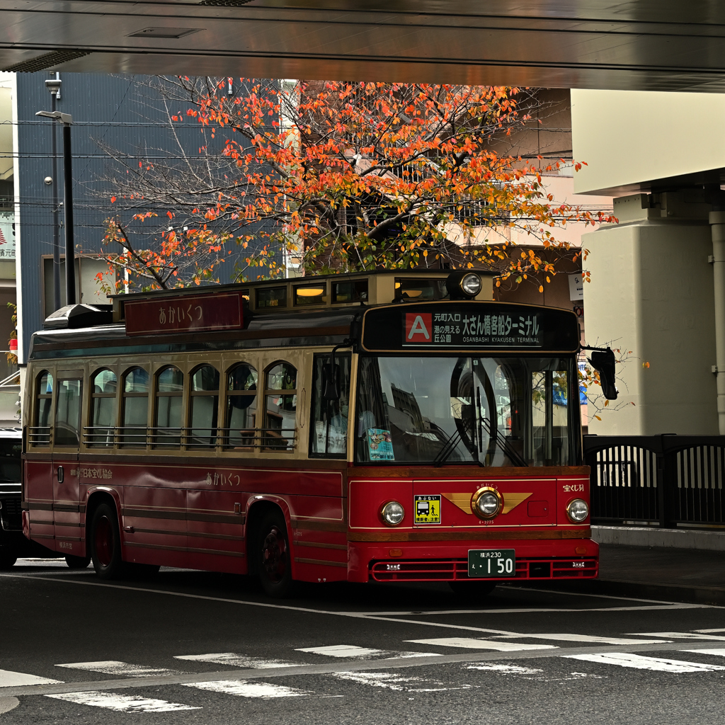 秋色バス