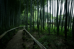 鎌倉散策にて