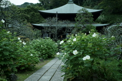 鎌倉散策にて