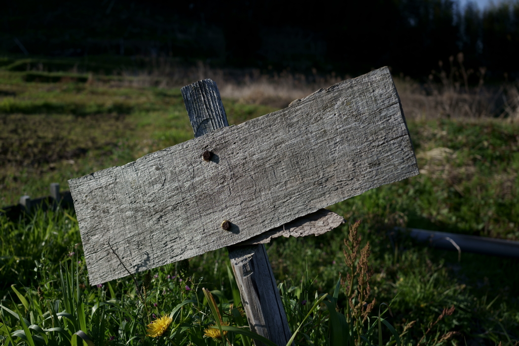 散歩途中にて～朽ちていく者たちへ～