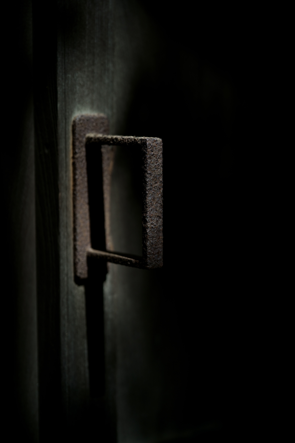 散歩途中にて～朽ちていく者たちへ～