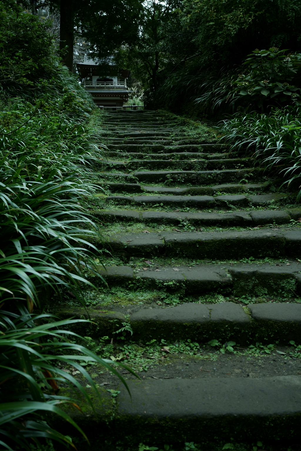 鎌倉散策にて