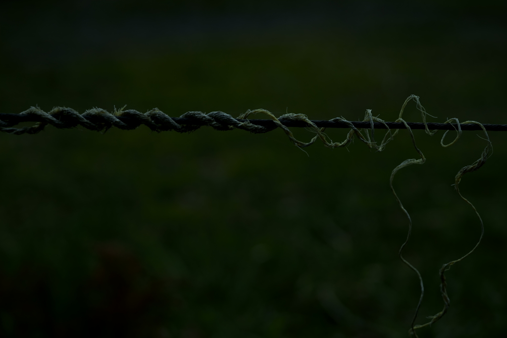 散歩途中にて～朽ちていく者たちへ～