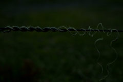 散歩途中にて~朽ちていく者たちへ~