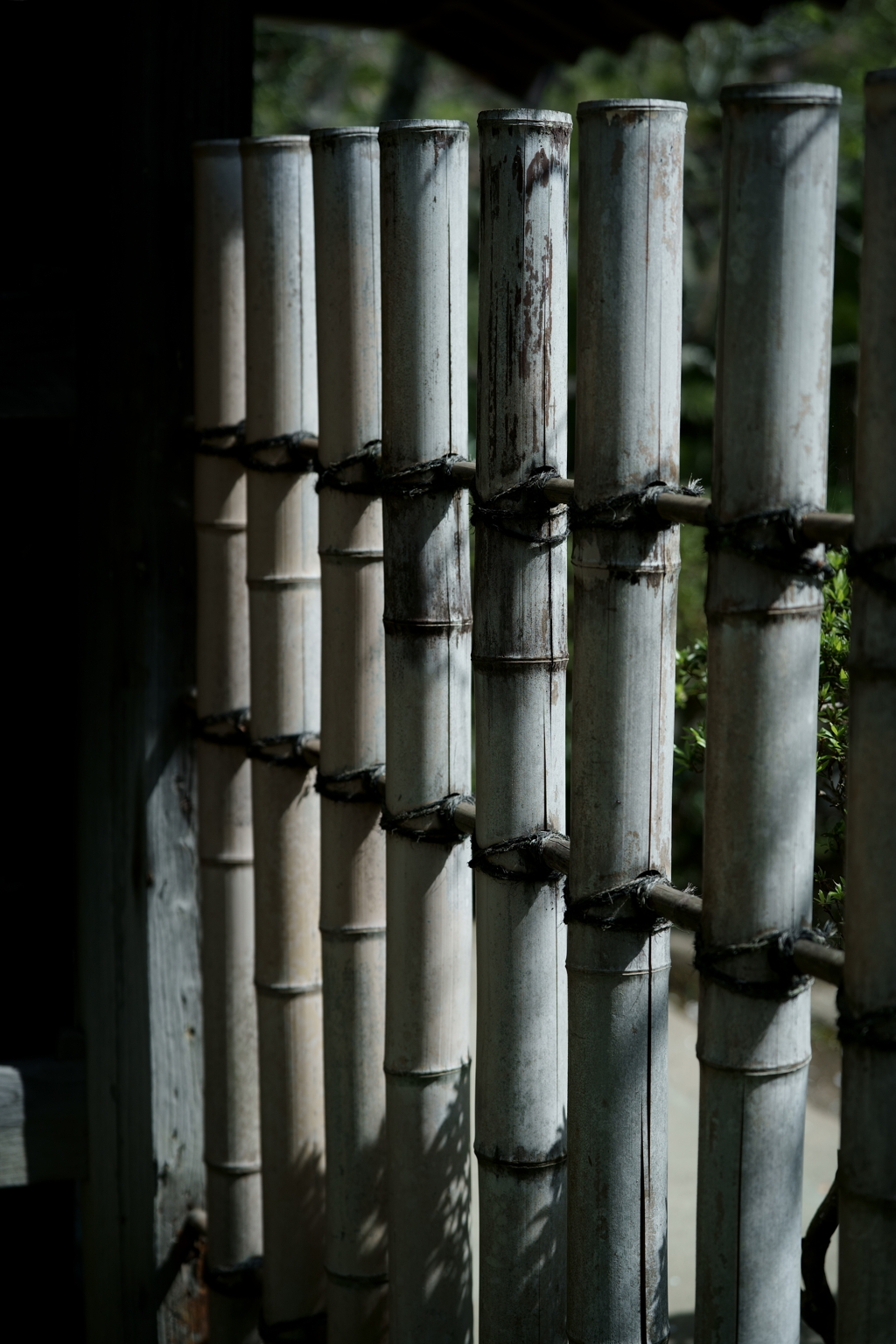 散歩途中にて～朽ちていく者たちへ～