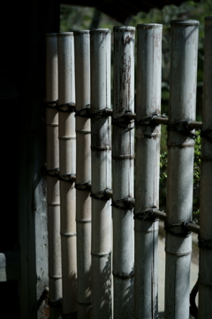 散歩途中にて~朽ちていく者たちへ~