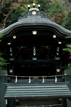 鎌倉散策にて～晩秋～