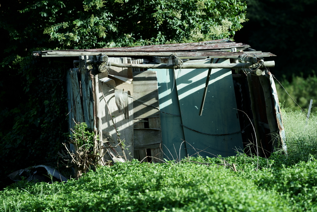 散歩途中にて～朽ちていく者たちへ～