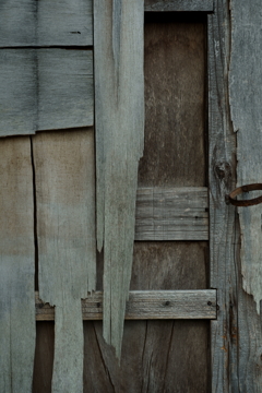 散歩途中にて~朽ちていく者たちへ~