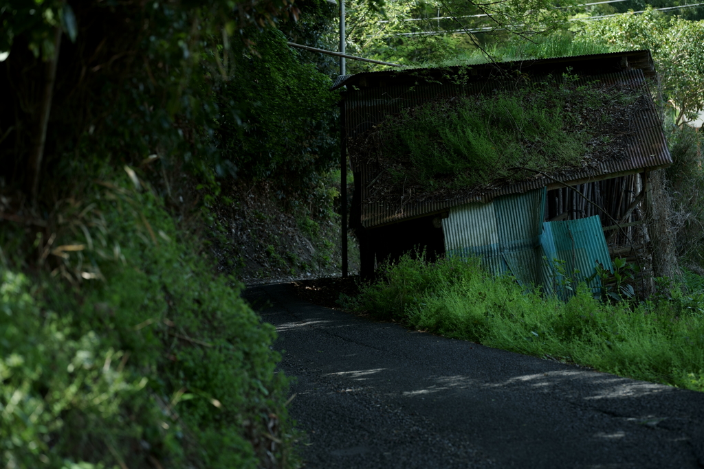 散歩途中にて～朽ちていく者たちへ～