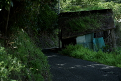 散歩途中にて~朽ちていく者たちへ~