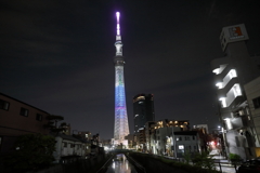 毛利蘭