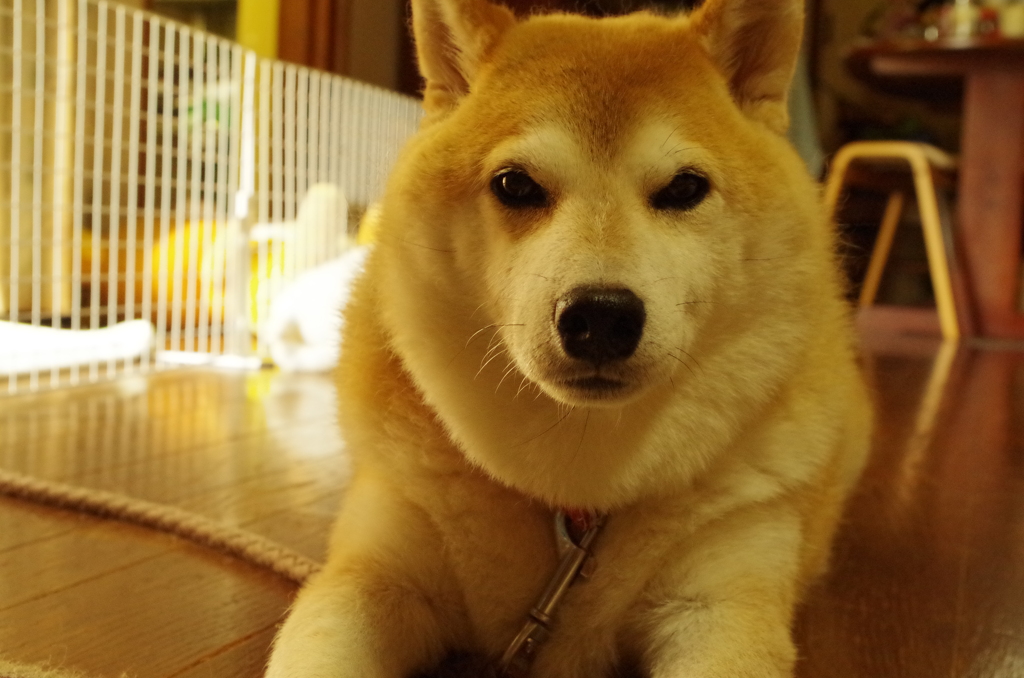 まったり