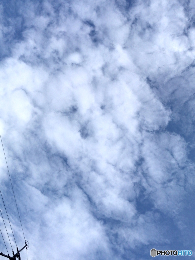 わんこ雲？