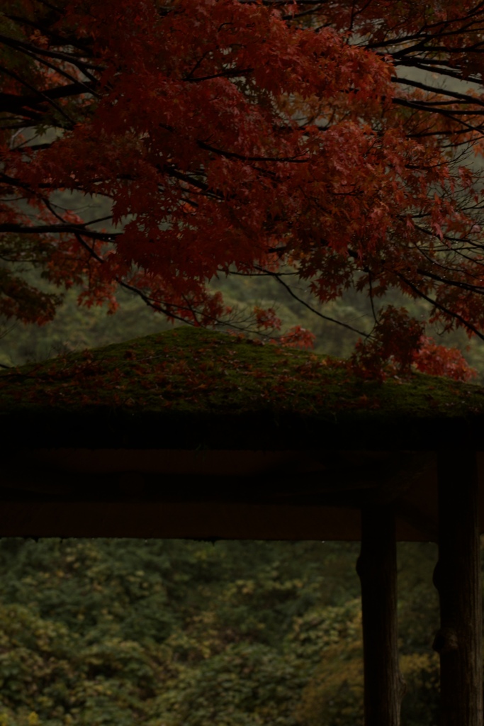 立ち寄る