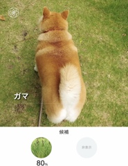 ガマと認識された愛犬(^.^)