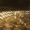 整備された遊歩道